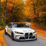 how hot does a car get inside parked in the sun